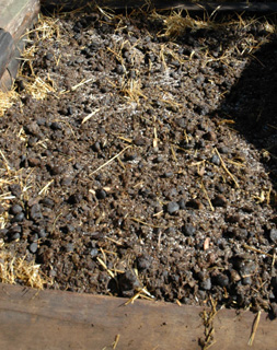 layering the compost