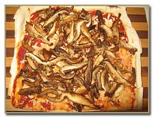 pizza with oyster mushrooms