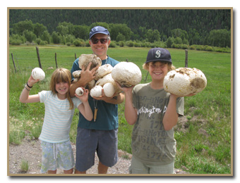 Calvatia booniana